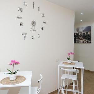 Max Fox Suite